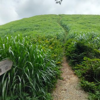 山頂へ向けての長い登りがキツイ