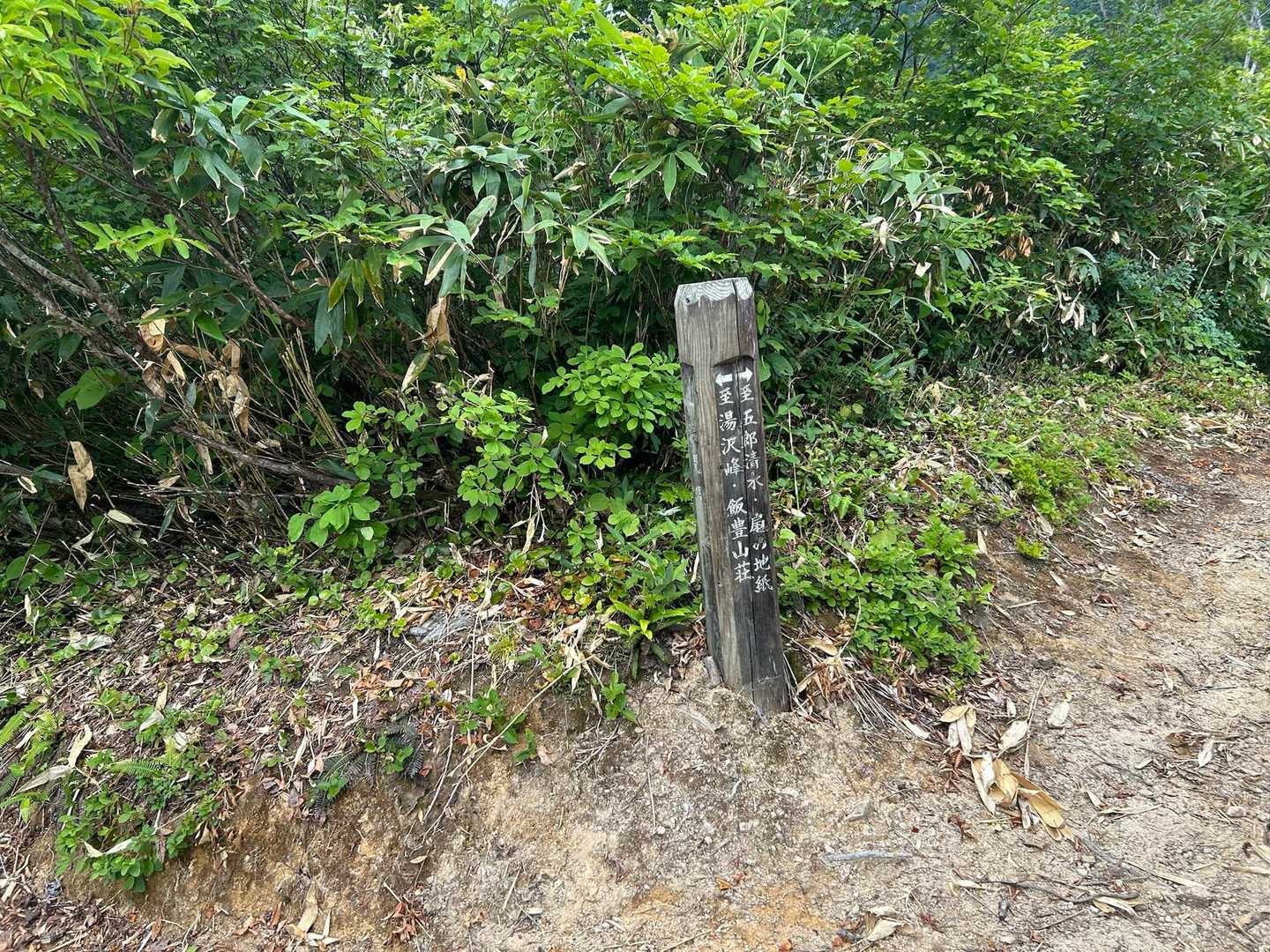 滝見場への分岐を右へ
滝見場は次の機会に