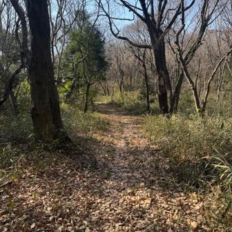 気持ちのよい散歩道を歩いて