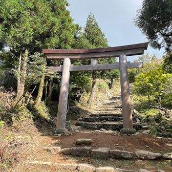 新しくなった鳥居。
私のヤマップカバー写真のオオヤマレンゲは、なくなった…🥲

ここまで来たら、もうひと頑張り👍