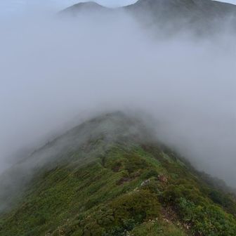 おっ！見えてきた！