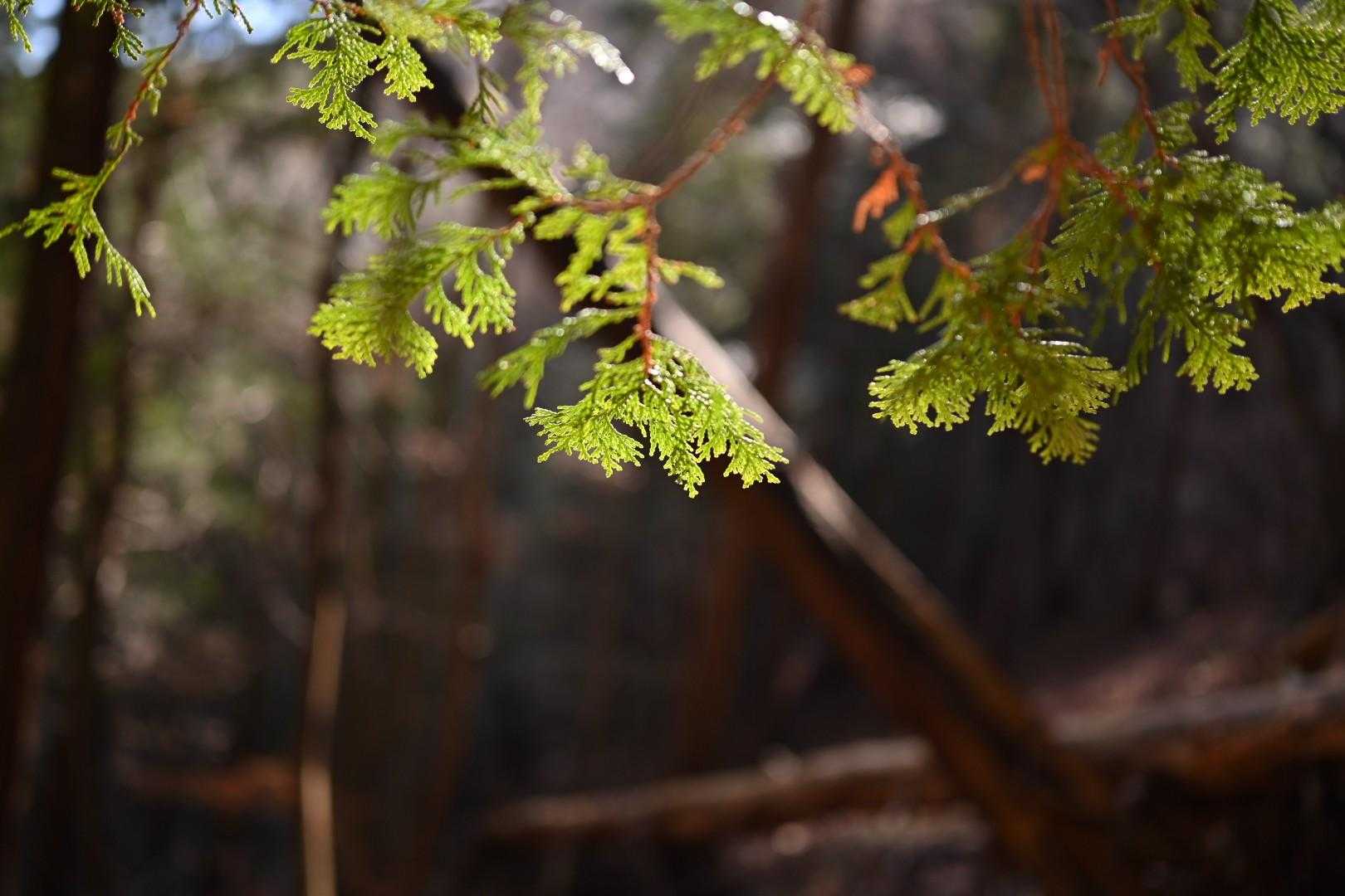 光と影があると写真が映える気がする