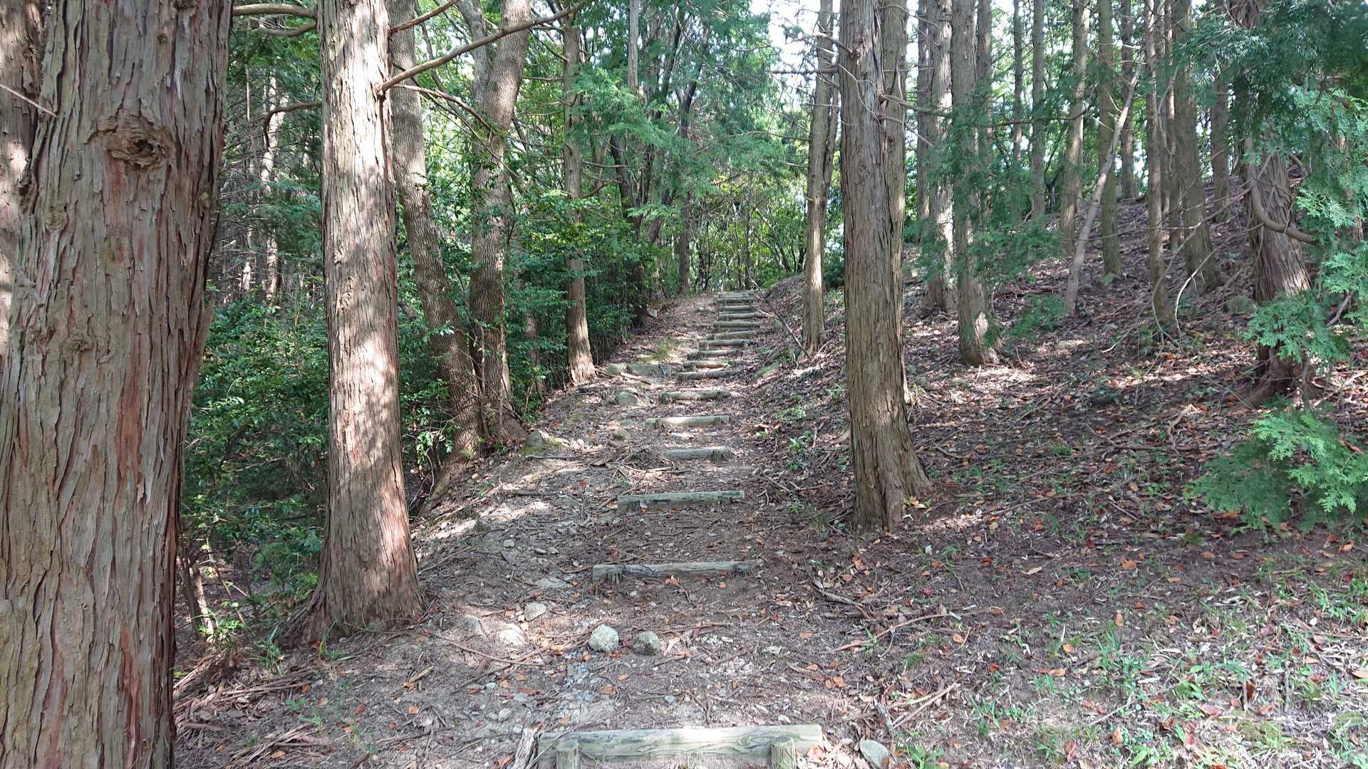 うゎー、階段😱