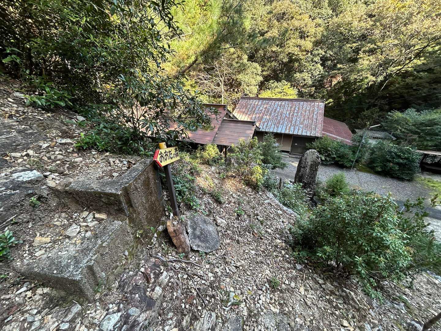 神社⛩️へ降りて来ました
