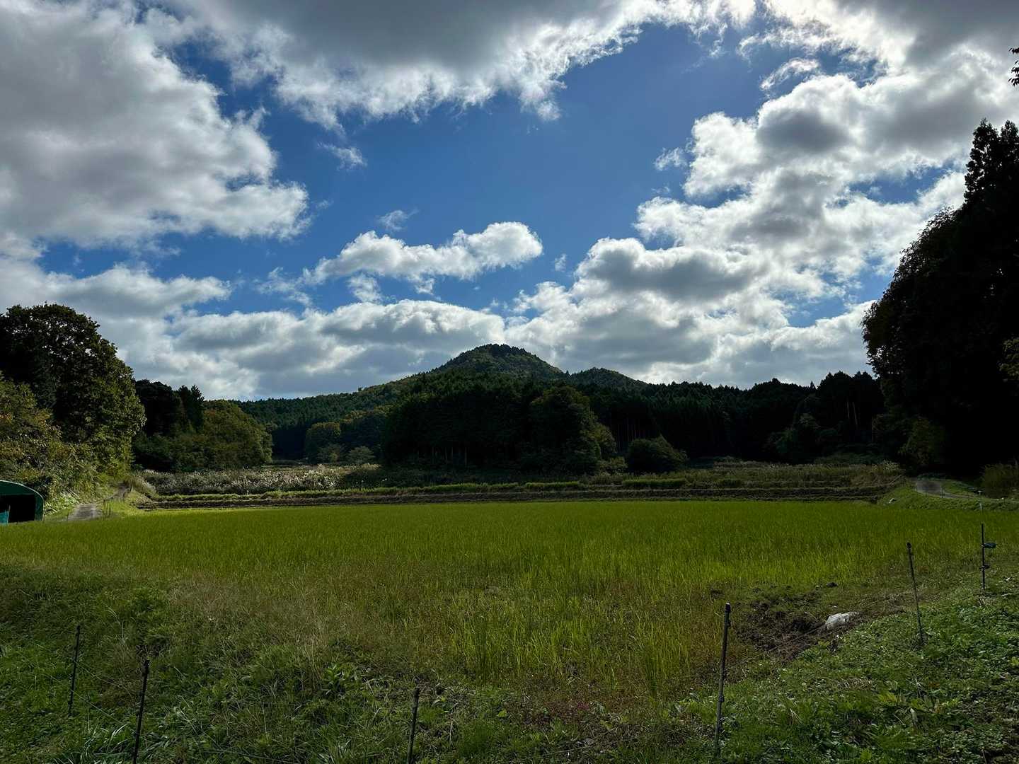 さぁ♪都介野岳に向かいます😊🐾✨

えっ！結構遠い？😲