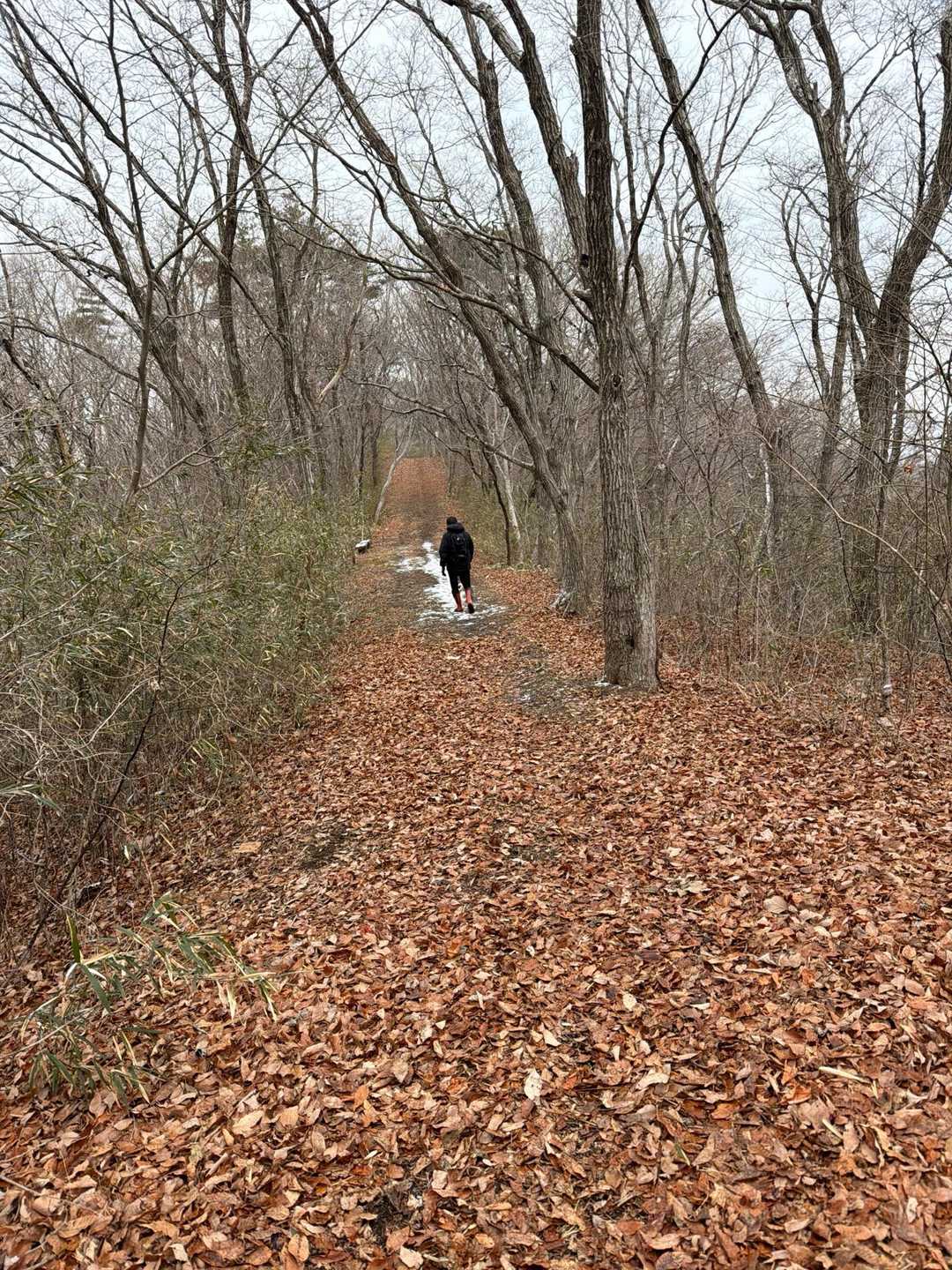 地面はの土は凍ってます