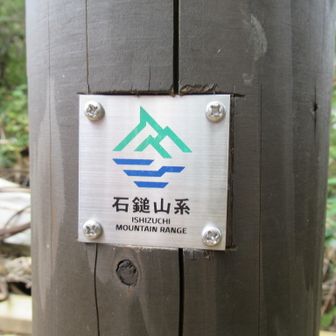 水野山猫（ツカちゃん)🐈