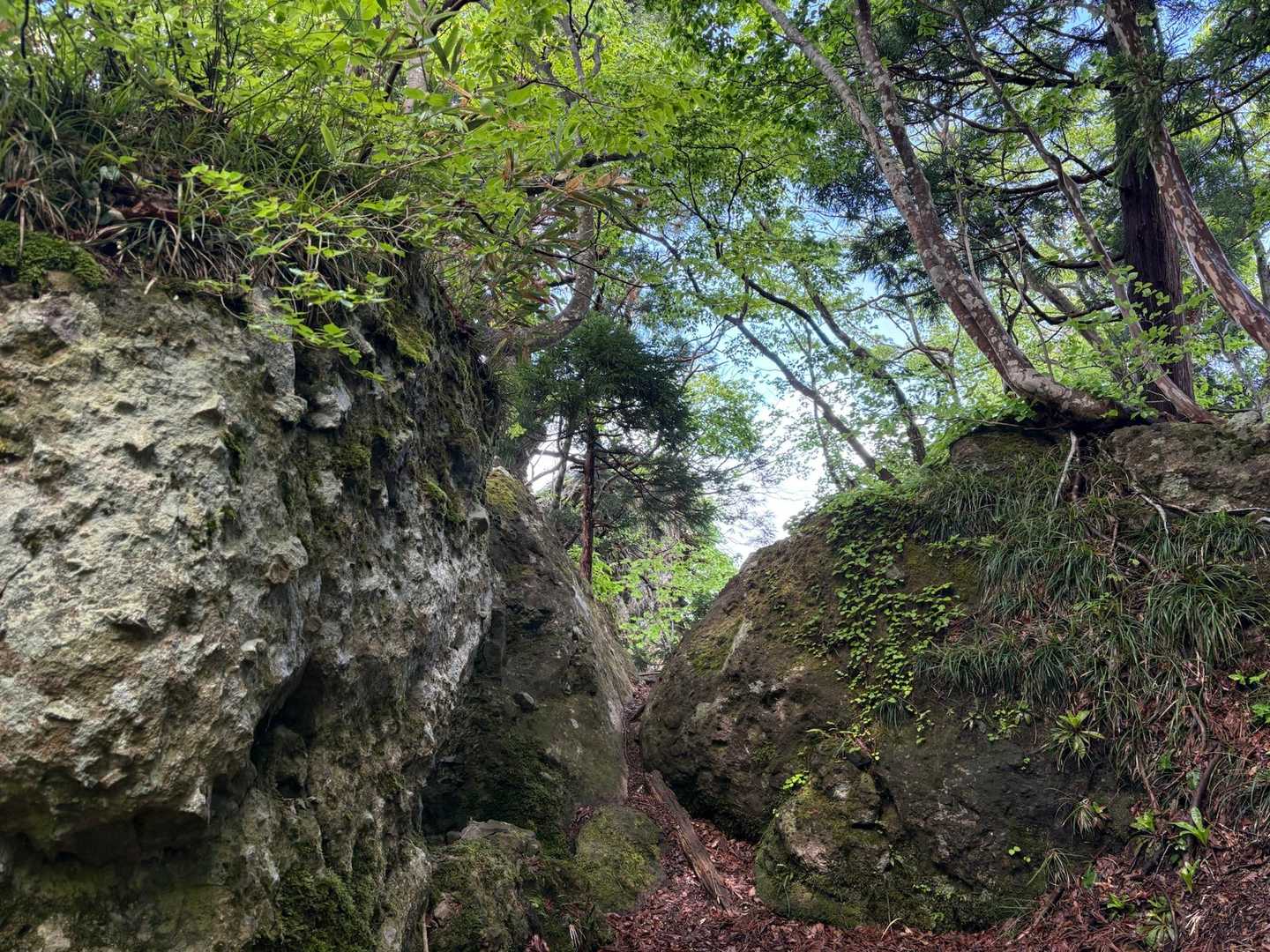 この雰囲気いい感じ😊