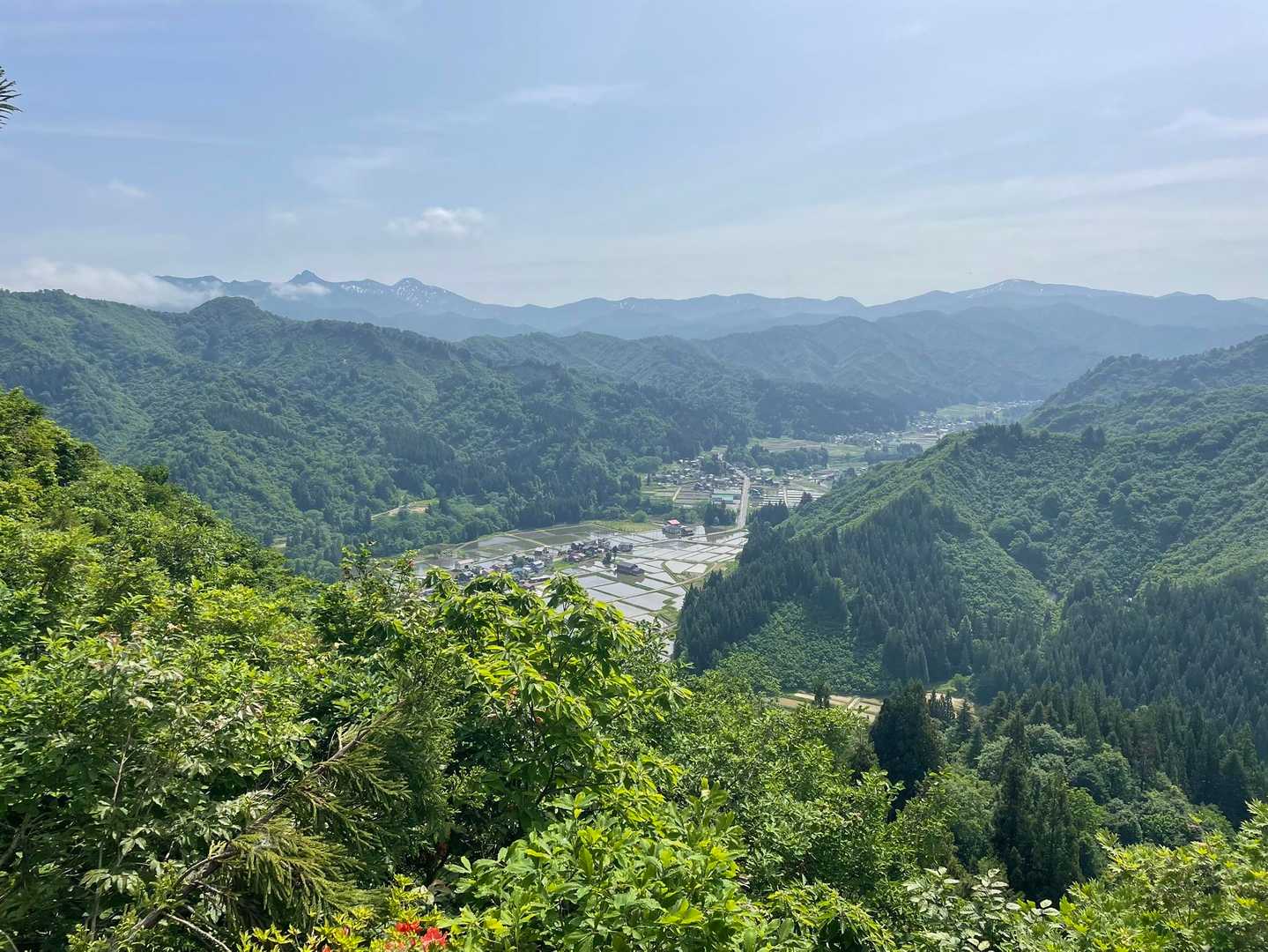 水田が美しい…新潟県良いところ✨