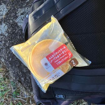 なんてことないコンビニパンもここで食べれば贅沢