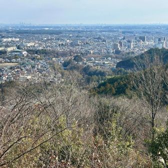 飯能市街を一望