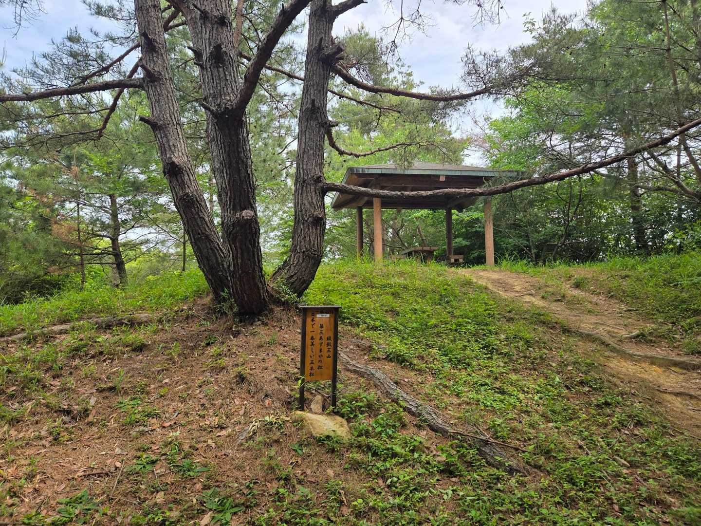 ヤマガラさんは1羽いたけど、いつの間にかいなくなりました～
