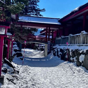 初詣してなかったので、赤城山神社に参拝に‼️