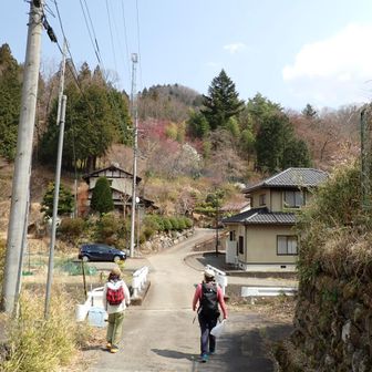 いったん下山してまた登る