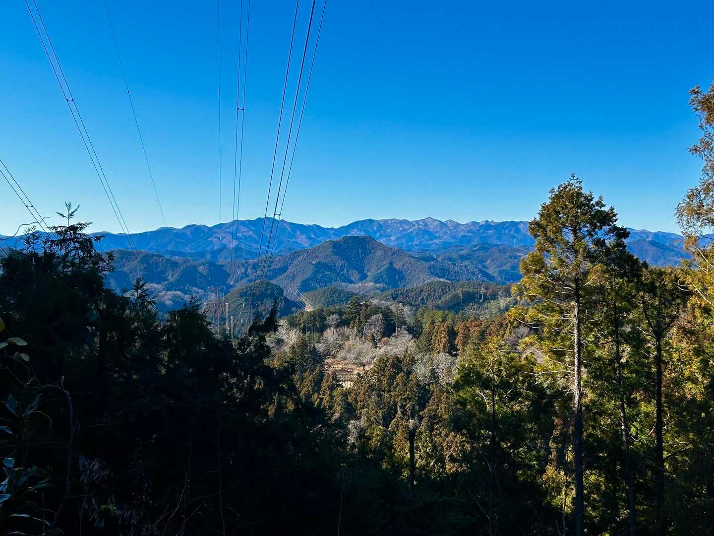 川苔山やらいろいろniceview