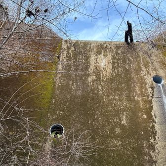 六甲山・長峰山・摩耶山 また堰堤
どっちから上ったか忘れてしまった　上の流木落ちてきそう…