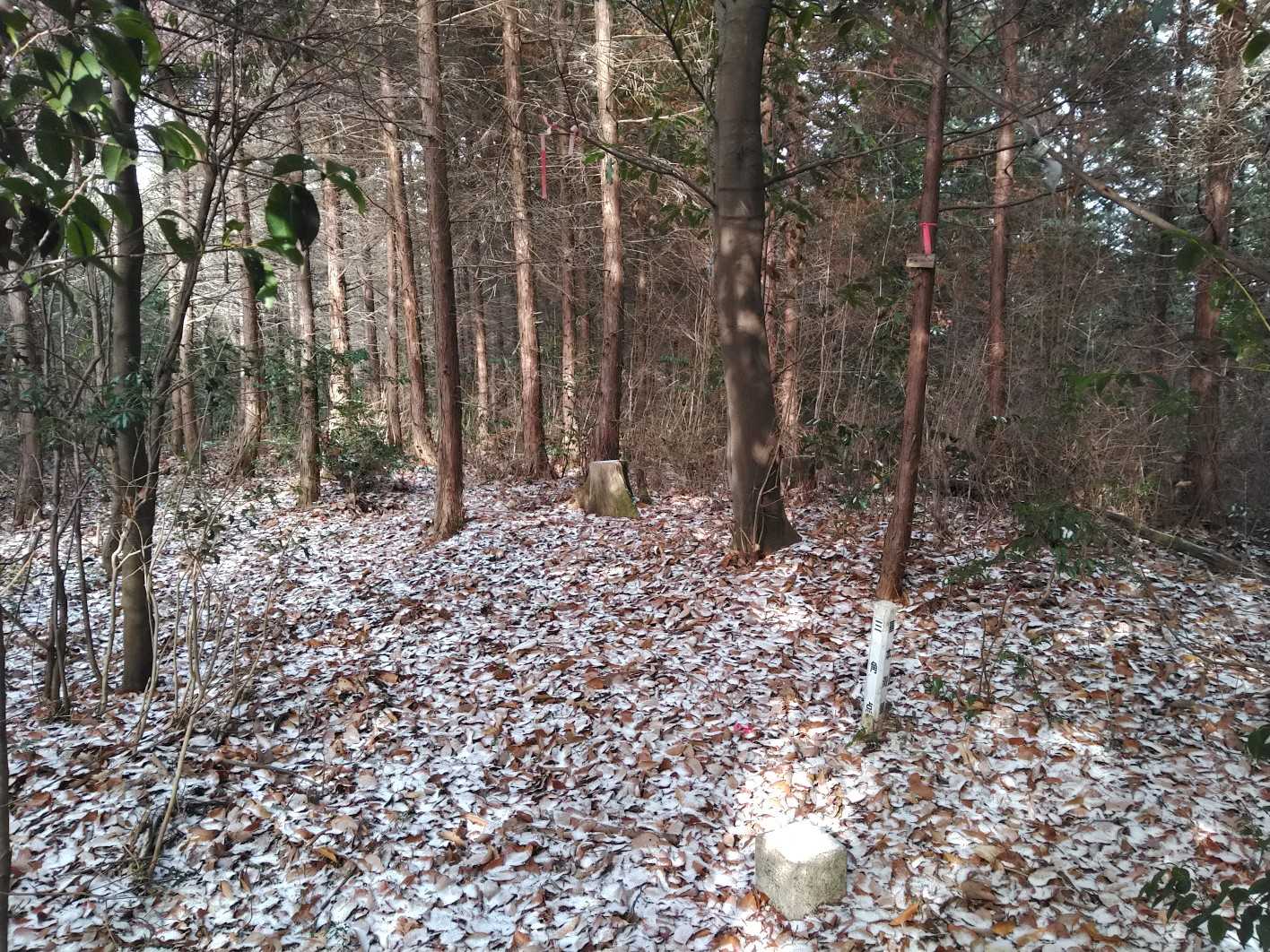 14_三角点は原山と同じ方式で登山道からちょこっと入った所にあり