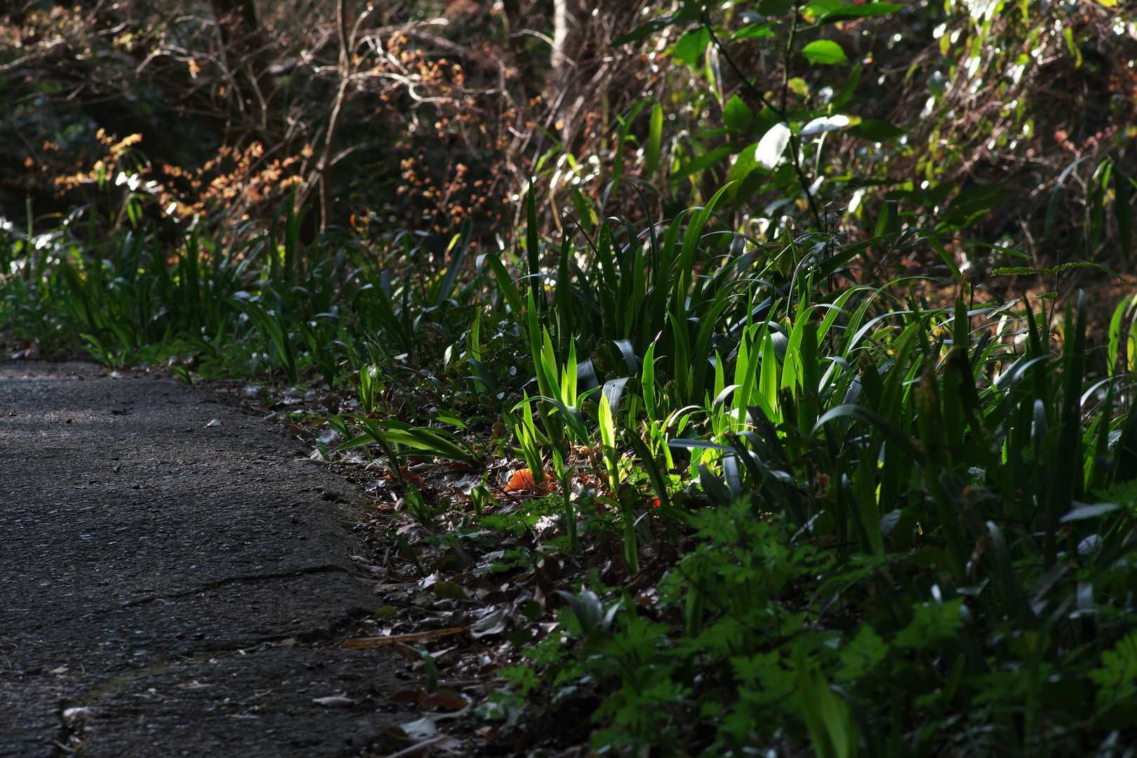 ほんと来て良かったです。お疲れ山でした。
