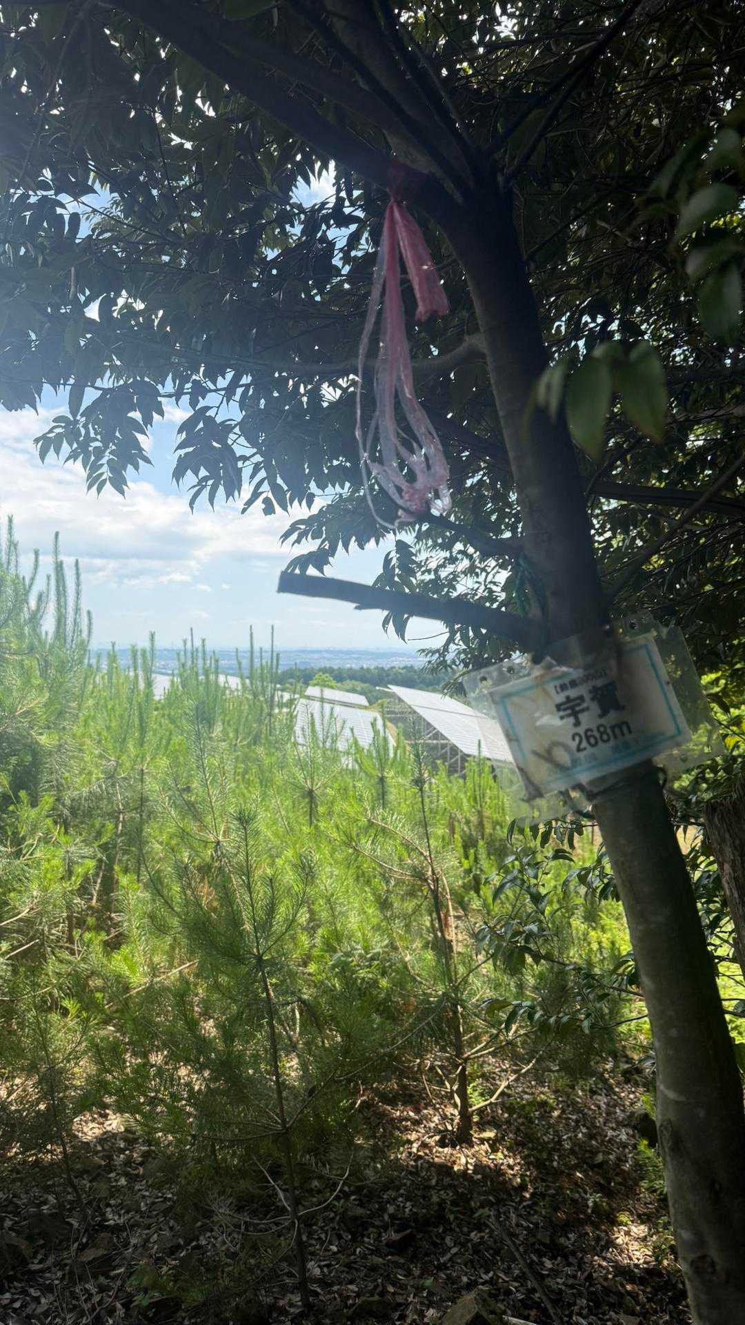 すぐ宇賀山頂😅(太陽光発電とチョイ眺望あり)