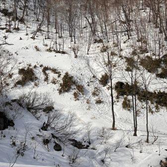 トヨニ方面取りつき斜面さ沢山のトレース
やっぱり皆さんそちらでしたね😌