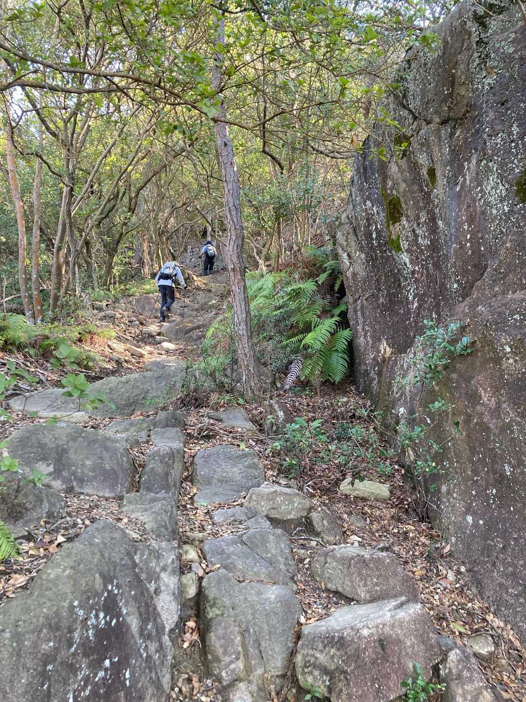 落ち葉🍂ばっかりの登山道から急に岩場🪨‼️