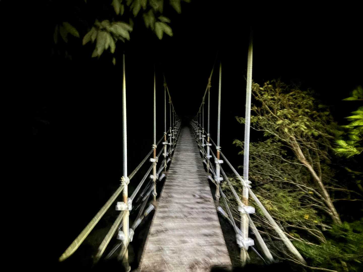 大杉峡谷登山口-休憩所-堂倉滝吊橋-大台ヶ原山-大台ヶ原バ 往復コースの写真