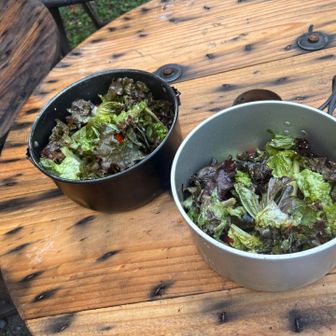 1日目夕食のサラダ