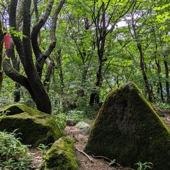 坊主山