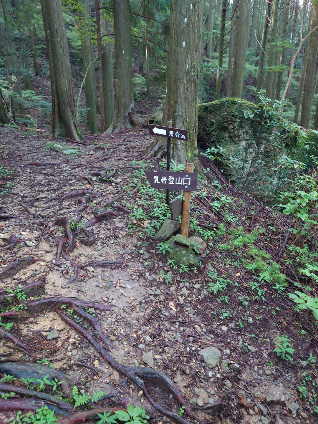 やっと鬼岩分岐