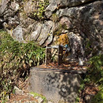 水場
水量は僕なみにミジンコ