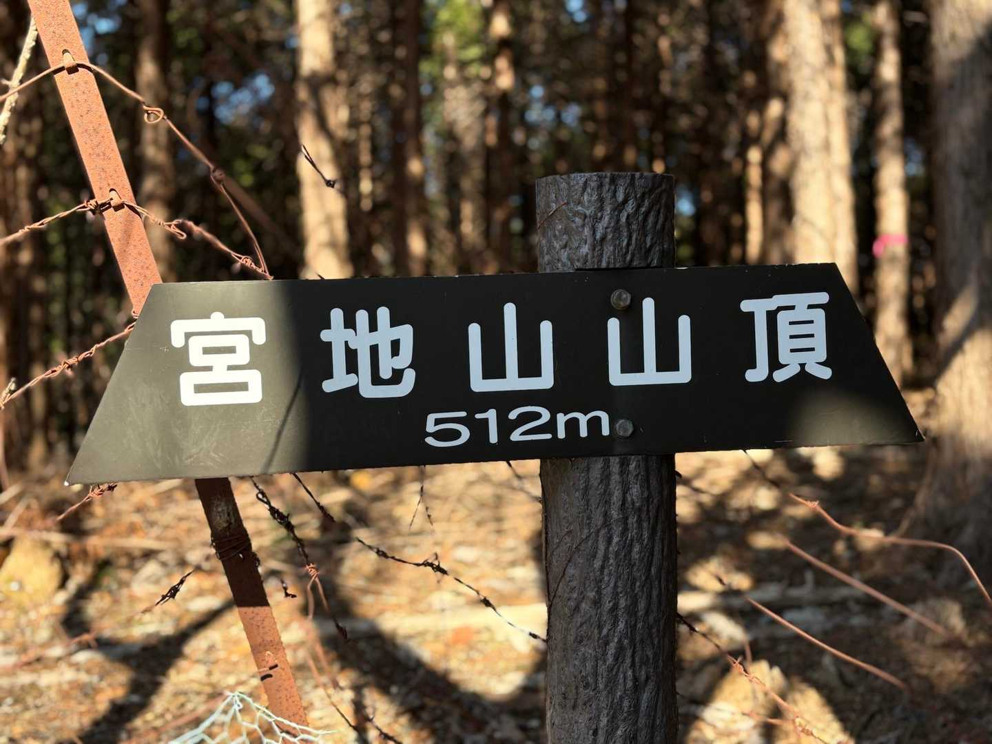 眺望なし