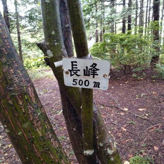 長峰
