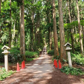 あれっ？一の鳥居どこ行った？
調べると８月１９日に撤去された模様。転法輪寺横の鳥居もらしい。