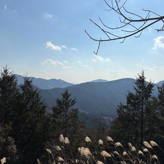 粟ヶ岳方面かな？あの鉄塔は！