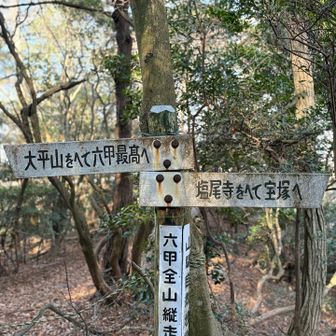 どっちもへんと逆瀬川戻る
いつか縦走してみたい