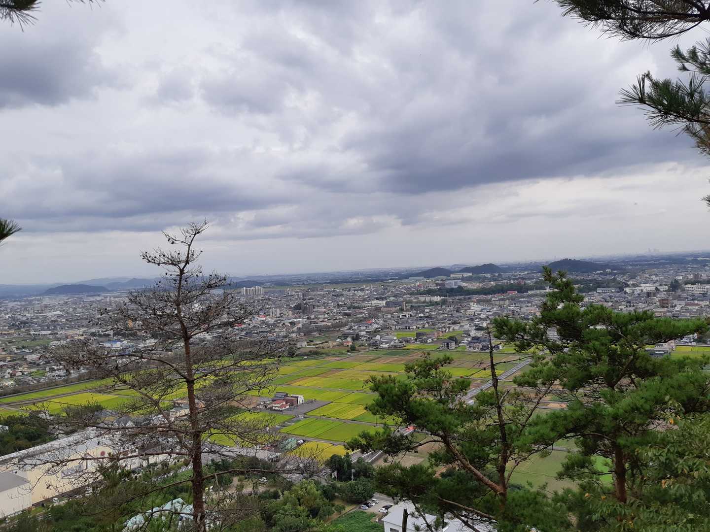 ここも