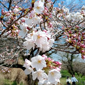 次の山へ行きましょうか🏕️