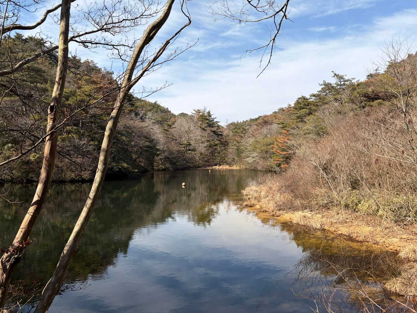 獺池　キレイ✨
でも何と読む？

↓


↓


↓



かわうそ　いけ
うっそ〜そんな読み方？
知らん漢字だらけ😅