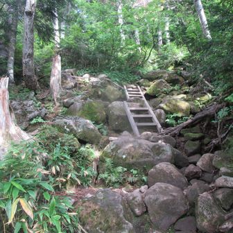 薬師沢までの下りは、急勾配&岩だらけで危険！