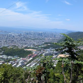 こっちも〜🤩