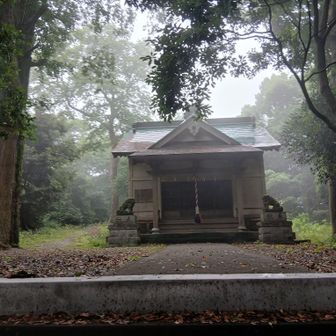 鷹取神社に着いた　こんなに立派な建物があるとは思っておらず驚いた