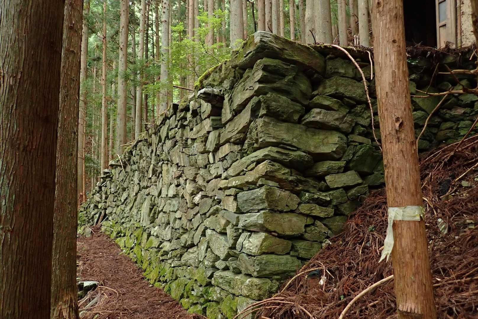 登り始めは石鎚山近くの西之川辺りから歩き出したような感じで