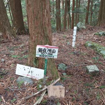 着きました🙌高松軽登山同好会、人吉のかめさん並に色んな山で見ますね🤗