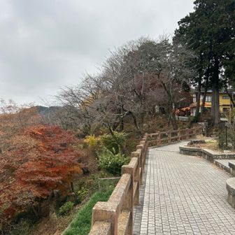 ココまであっとゆーまに来れた感じ