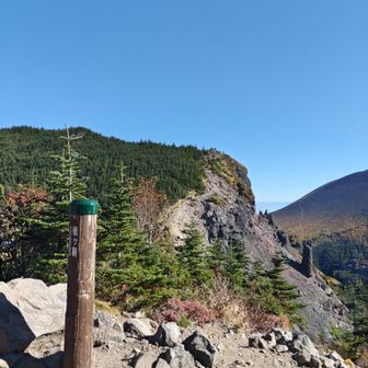 槍ヶ鞘から見たトーミの頭⛰️✨