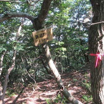 新道野山頂。
展望はない。