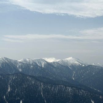 ペンケヌーシ🤩