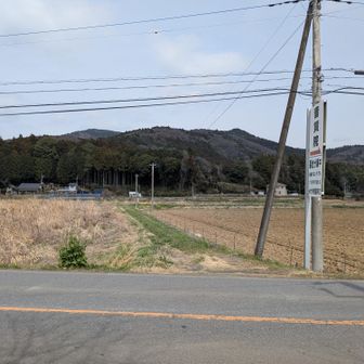 本日登ったお山！