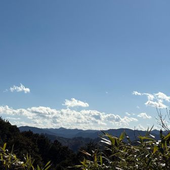いやー、今日も天気良かったですね