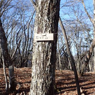 石切山山頂です